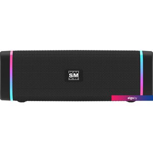 Беспроводная колонка Soundmax SM-PS5019B (черный)