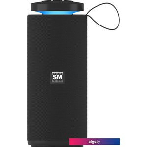 Беспроводная колонка Soundmax SM-PS5015B (черный)