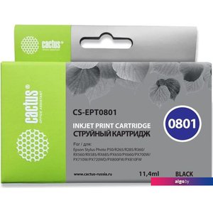 Картридж CACTUS CS-EPT0801 (аналог Epson EPT0801)