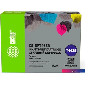 Картридж CACTUS CS-EPT46S8 (аналог Epson EPT46S8)