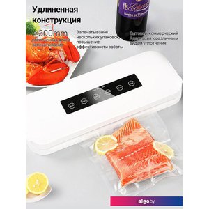 Вакуумный упаковщик KaringBee HF-S8016