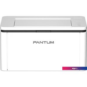 Принтер Pantum BP2300W