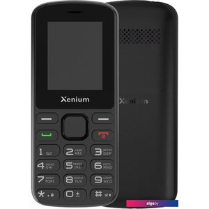 Кнопочный телефон Xenium X170 (черный)