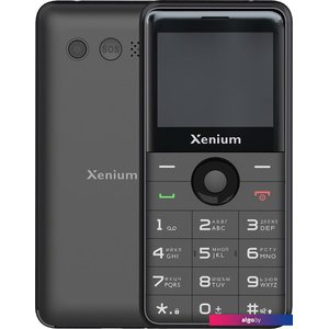 Кнопочный телефон Xenium X700 (черный)