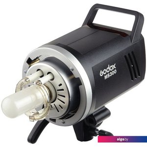 Godox MS300