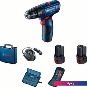 Ударная дрель-шуруповерт Bosch GSB 120-LI Professional 06019G8102 (с 2-мя АКБ, кейс, набор оснастки)