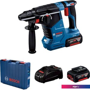 Перфоратор Bosch GBH 187-LI Professional 0611923021 (с 2-мя АКБ, кейс)