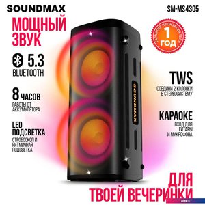 Патибокс Soundmax SM-MS4305