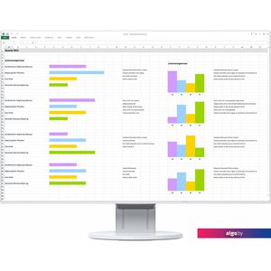 Монитор EIZO FlexScan EV2456-WT