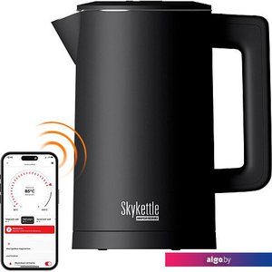 Электрический чайник Redmond SkyKettle KM231S (черный)