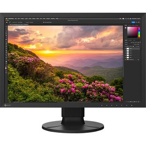 EIZO ColorEdge CS2400S