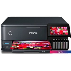 Epson L8160 (черный)