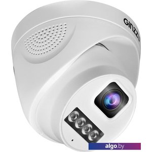 IP-камера Ginzzu HID-4301A