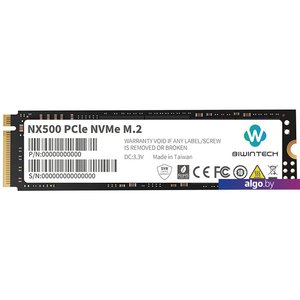 SSD Biwin NX500 256GB 82P1B8#G