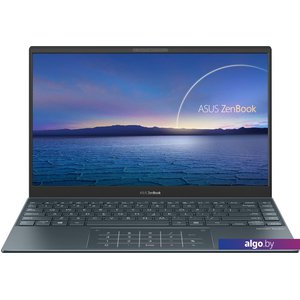 ASUS ZenBook 14 UX425EA-KI831W