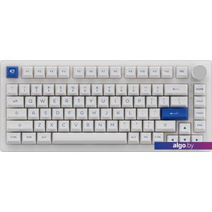 Клавиатура Akko PC75B Plus White & Blue (Akko CS Jelly Black)