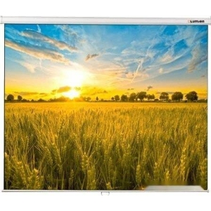 Проекционный экран Lumien Eco Picture 198x300 LEP-100120