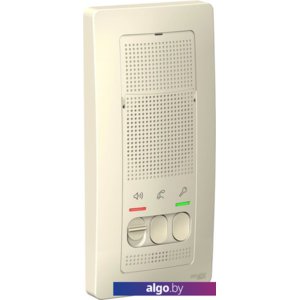 Абонентская панель Schneider Electric Blanca BLNDA000012