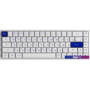 Клавиатура Akko 3068B Plus White & Blue (Akko CS Jelly Purple)