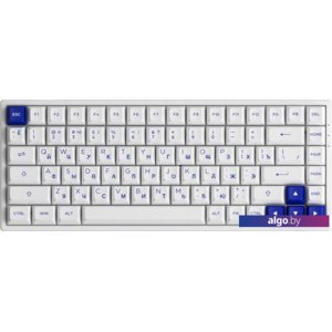 Клавиатура Akko 3084B Plus White & Blue (Akko CS Jelly Pink)