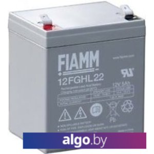 Аккумулятор для ИБП FIAMM 12FGHL22 (12В/5 А·ч)