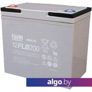 Аккумулятор для ИБП FIAMM 12FLB200P (12В/55 А·ч)