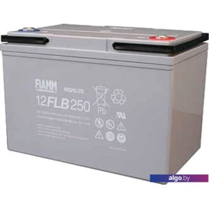 Аккумулятор для ИБП FIAMM 12FLB250P (12В/70 А·ч)