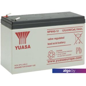 Аккумулятор для ИБП Yuasa NPW45-12 (12В/45 А·ч)