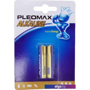 Батарейки Pleomax Alkaline AAA 2 шт.
