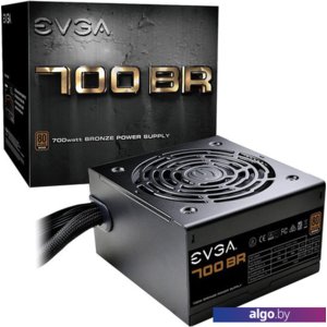 Блок питания EVGA 700 BR 100-BR-0700-K2