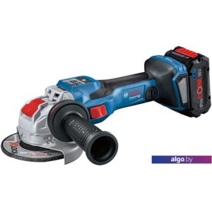 Угловая шлифмашина Bosch GWX 18V-15 SC Professional 06019H6501 (с 2-мя АКБ, кейс)