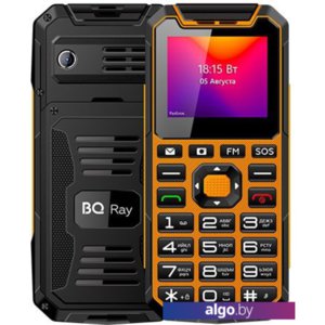 Мобильный телефон BQ-Mobile BQ-2004 Ray (оранжевый)