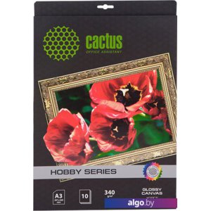 Холст CACTUS Хлопковый холст A3 340 г/кв.м. 10 листов (CS-СGA326010)