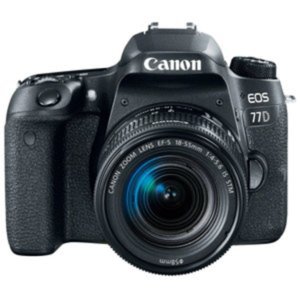 Фотоаппарат Canon EOS 77D Kit 18-135mm IS USM