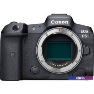 Беззеркальный фотоаппарат Canon EOS R5 Body