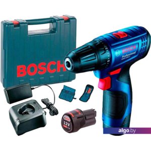 Дрель-шуруповерт Bosch GSR 120-LI Professional 06019G8002 (с 2-мя АКБ, кейс, оснастка)