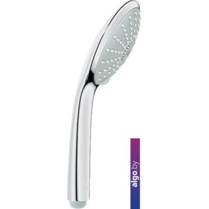 Душевая лейка Grohe Euphoria (27221 000)