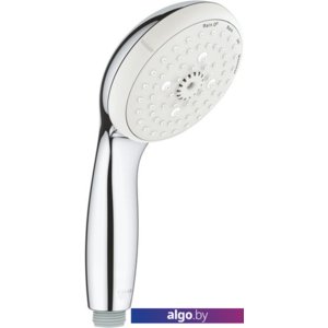 Душевая лейка Grohe New Tempesta 100 28421002