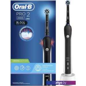 Электрическая зубная щетка Braun Oral-B Pro 2 2000 D501.513.2 Black Edition