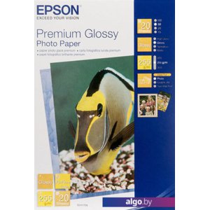 Фотобумага Epson Premium Glossy Photo Paper 10x15 20 листов (C13S041706)