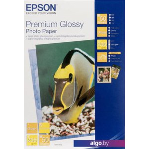 Фотобумага Epson Premium Glossy Photo Paper 13x18 50 листов (C13S041875)