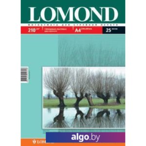 Фотобумага Lomond Глянцевая/Матовая двухсторонняя А4 210 г/кв.м. 25 л (0102047)