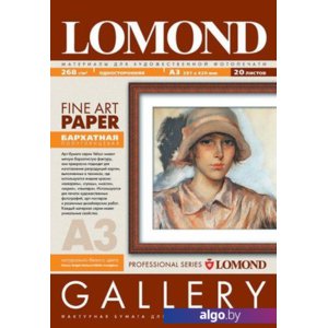 Фотобумага Lomond Smooth Natural White DS Archive A3 256 г/кв.м. 20 л [0910332]