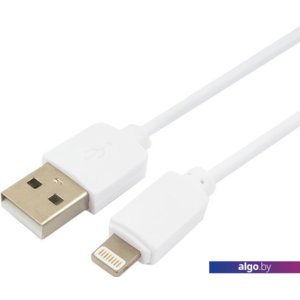 Кабель Гарнизон GCC-USB2-AP2-1M-W 1.0m