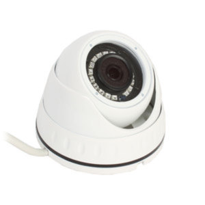 IP-камера Ginzzu HID-2031S