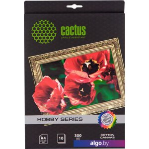 Холст CACTUS Хлопковый холст A4 300 г/кв.м. 10 листов (CS-СA426010)