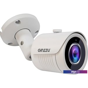 IP-камера Ginzzu HIB-2032S