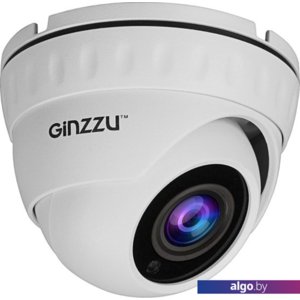 IP-камера Ginzzu HID-2032S