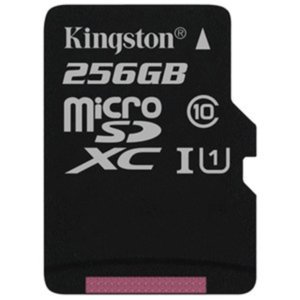 Карта памяти Kingston Canvas Select SDCS/256GBSP microSDXC 256GB