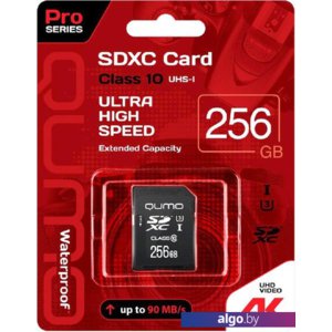 Карта памяти QUMO SDXC QM256GSDXC10U1 256GB